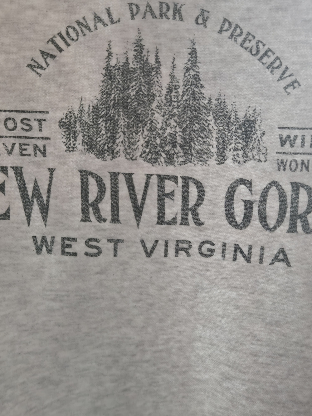Blue 84 Gray New River Gorge West Virginia Graphic Tee